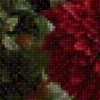 Предпросмотр схемы вышивки «Хризантемы» (№2523473)