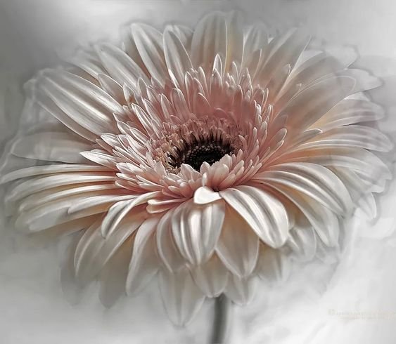 №2523762 - оригинал