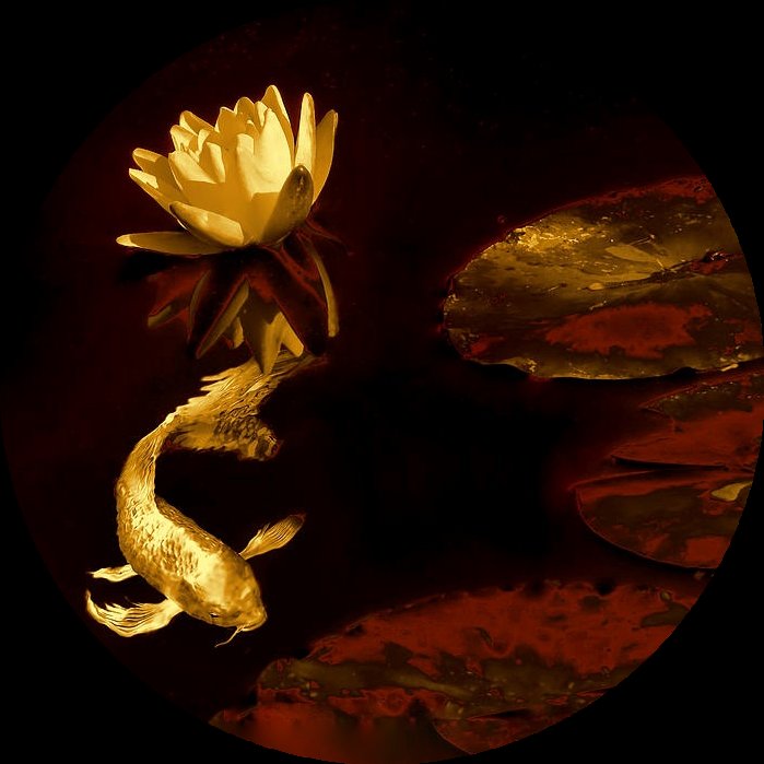 Золотая рыбка круг - кувшинки, черный, восток, золото, оранжевый, рыбка, красный - оригинал