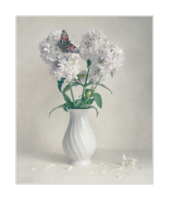 Прилетела - бабочка, букет, цветы, натюрморт - оригинал