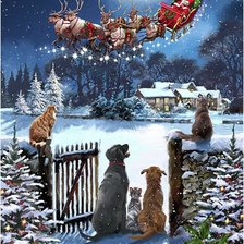 Схема вышивки «The Macneil Studio. КОШКИ И СОБАКИ СМОТРЯТ НА САНТУ»