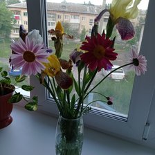 Схема вышивки «Цветы на окне»