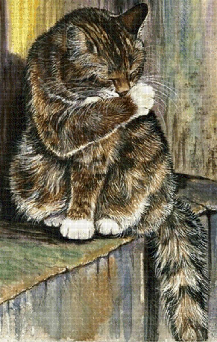 Любимец - кот - предпросмотр