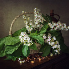 Схема вышивки «№2524883»