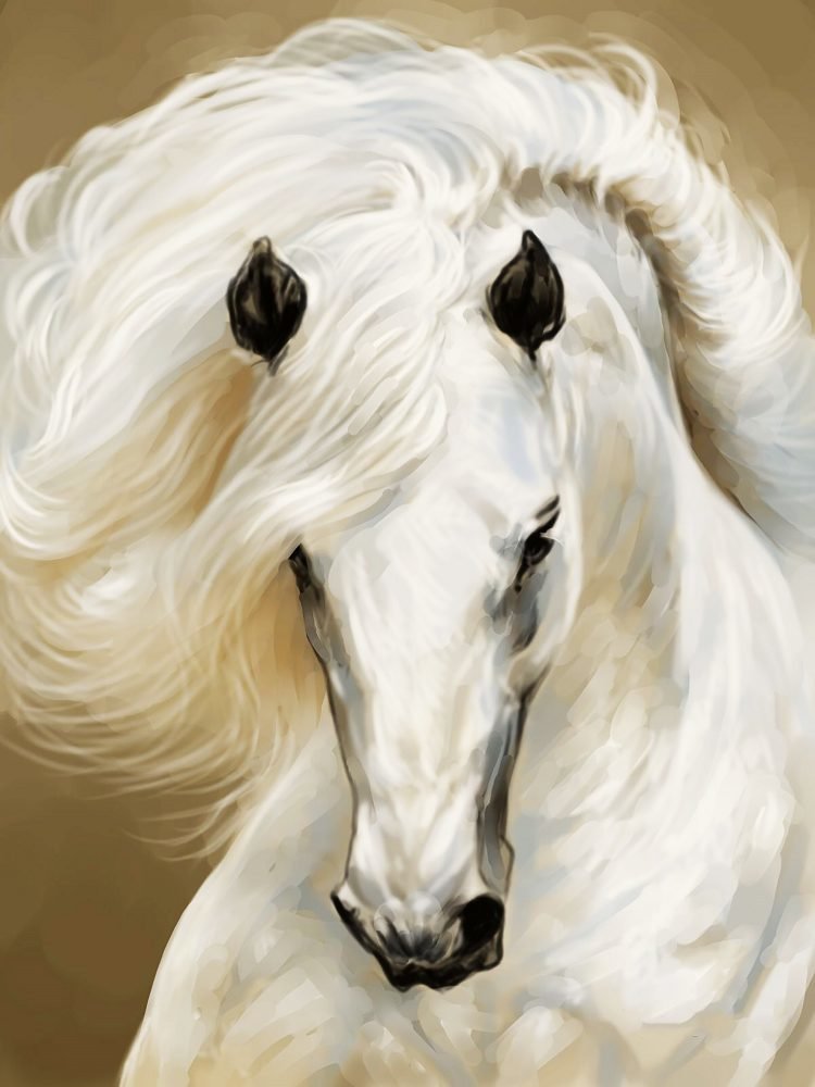 Грация. Белая лошадь - кони, животные, лошадь - оригинал