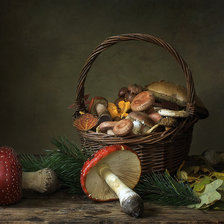 Схема вышивки «№2525095»