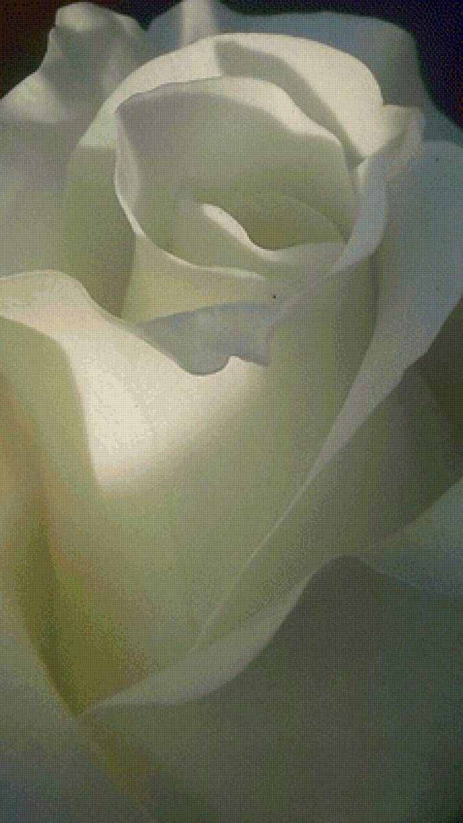 №2525400 - предпросмотр