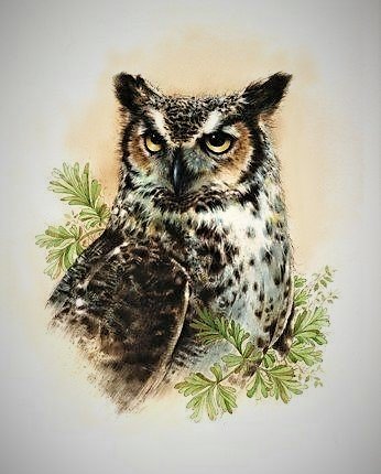 Филин - птицы - оригинал