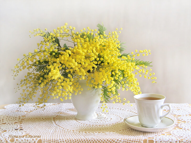 Мимоза - мимоза, натюрморт, цветы, весна, букет - оригинал
