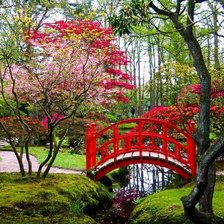 Схема вышивки «№2525817»