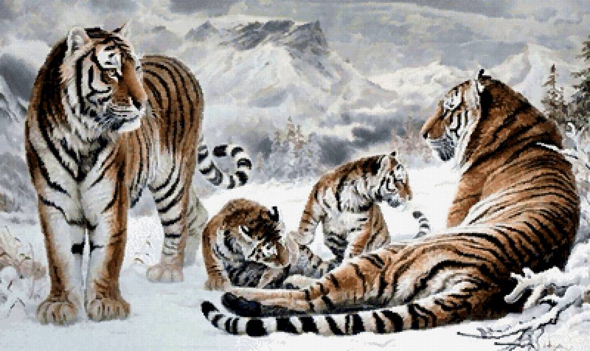 Тигры - тигр, тигры, дикие хищные кошки, животные - предпросмотр