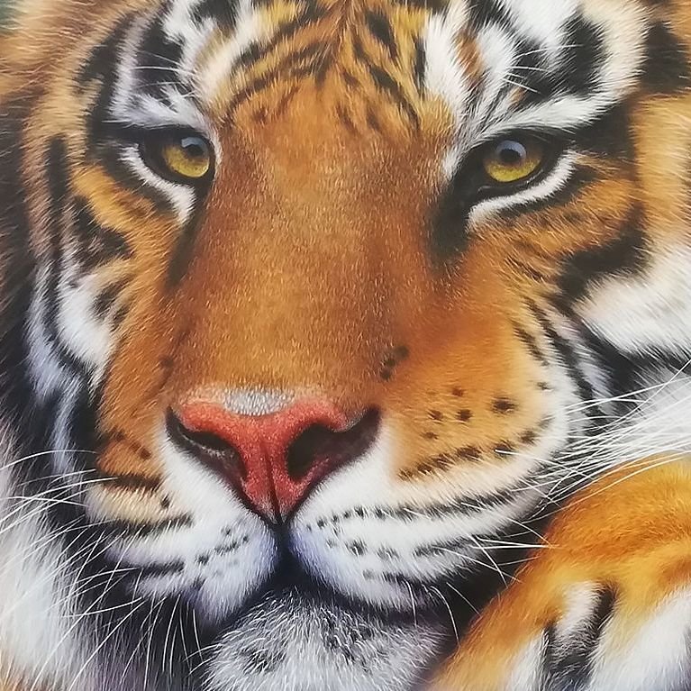 подушка Тигр - подушка, тигр, животные, дикие хищные кошки - оригинал