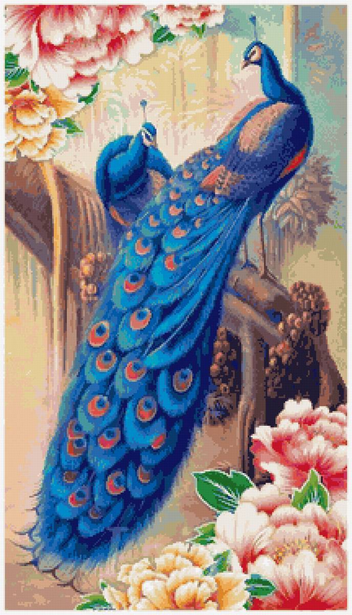 Семейство павлинов - птицы, деньги, павлин, вышивка крестиком, богатство - предпросмотр