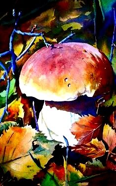 гриб - лес, гриб - оригинал