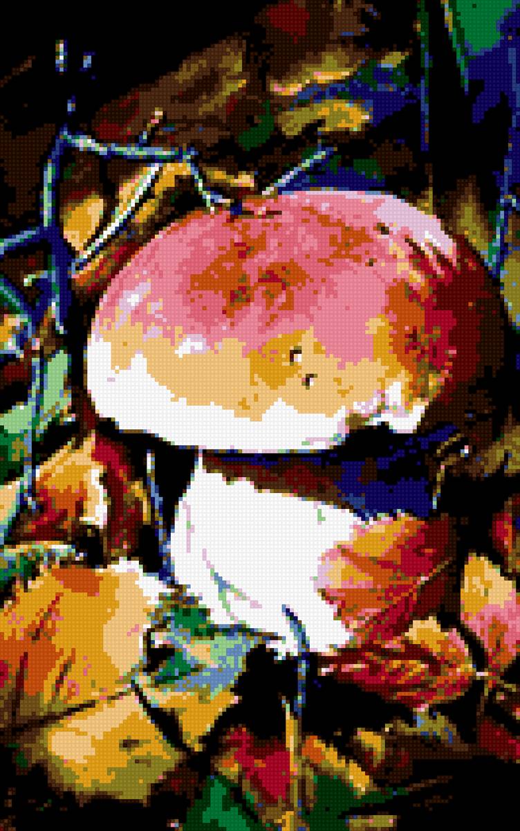 гриб - гриб, лес - предпросмотр