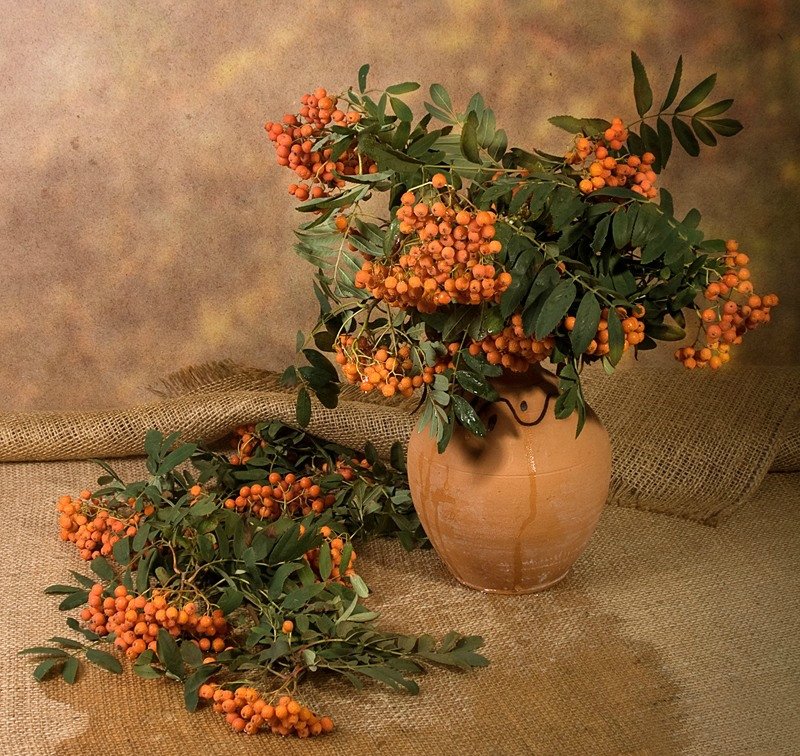 Рябина - осень, букет, рябина, ягоды, натюрморт - оригинал