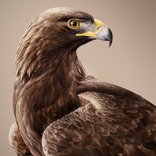 Оригинал схемы вышивки «№2526847»