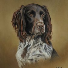 Схема вышивки «№2526848»