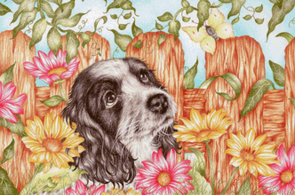 №2527040 - цветы - предпросмотр