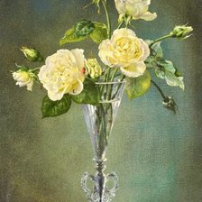 Схема вышивки «Желтые розы - Сесил Кеннеди»