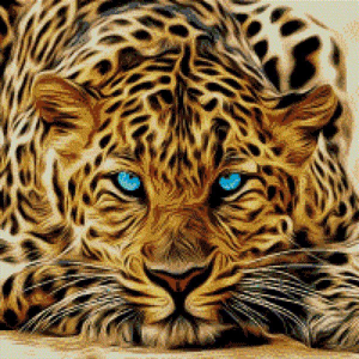 Гепард - гепард - предпросмотр