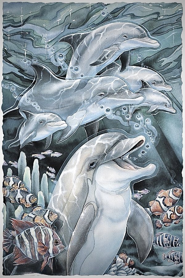 дельфины - дельфины, море - оригинал