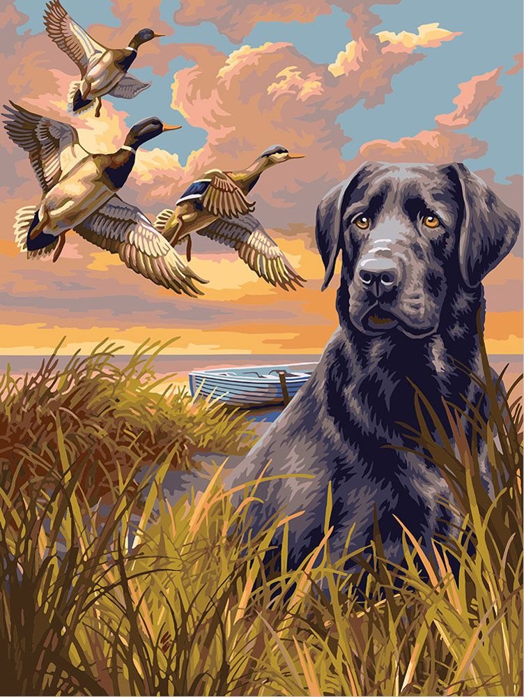 Лабрадор - лабрадор утки - оригинал