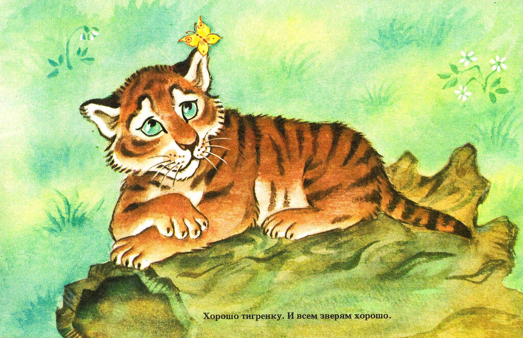 тигренок на подсолнухе - тигренок, бабочка, подсолнух - оригинал