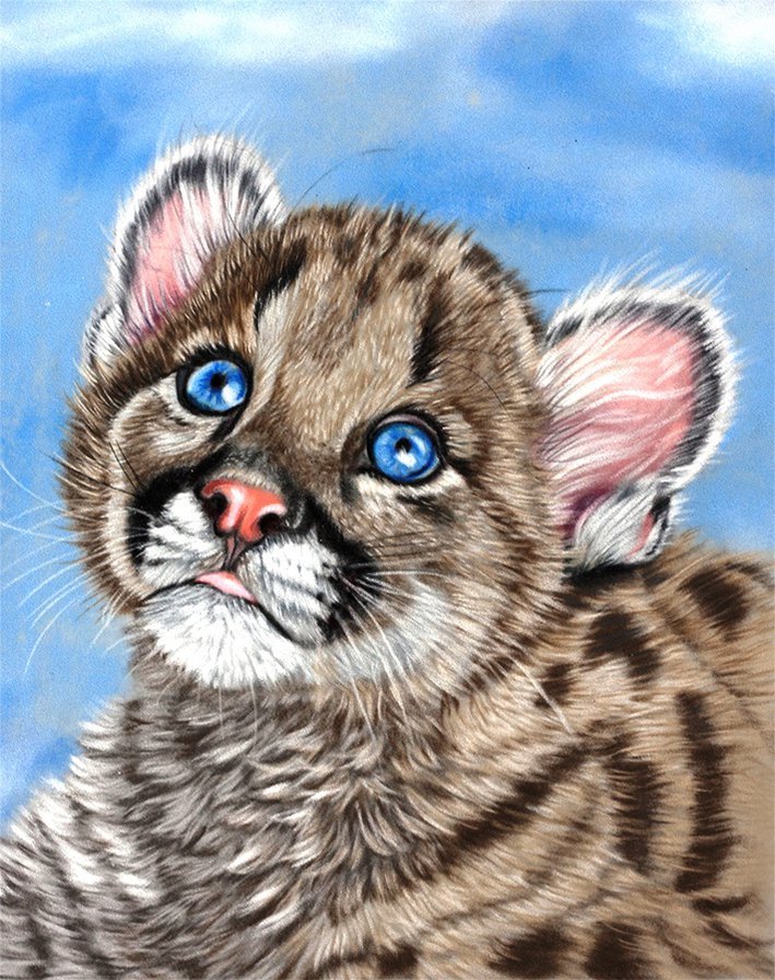 Няша - няша, тигр, животные, малыш, тигры, глаза, дикие хищные кошки - оригинал