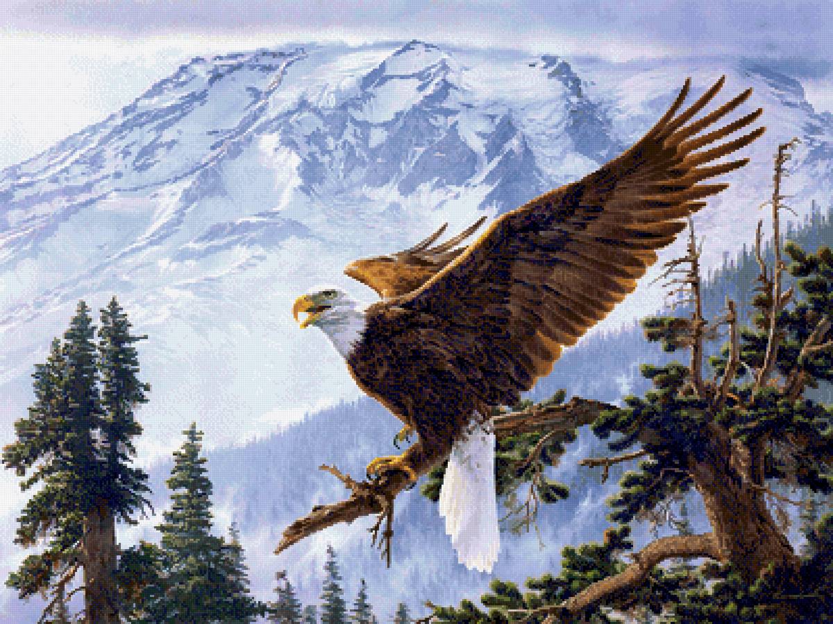 Орёл - орел, пейзаж, горы, птицы - предпросмотр