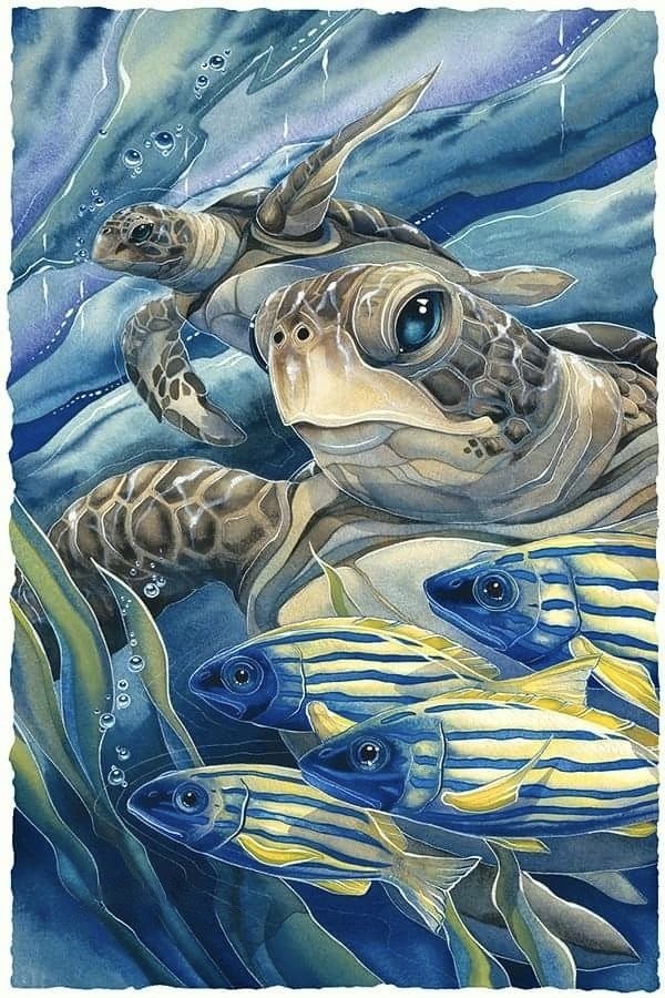 морской мир - черепахи, море, океан - оригинал