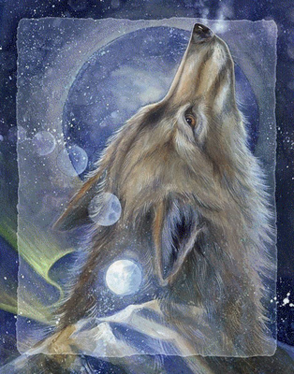 волк одиночка - волк, звери, природа - предпросмотр