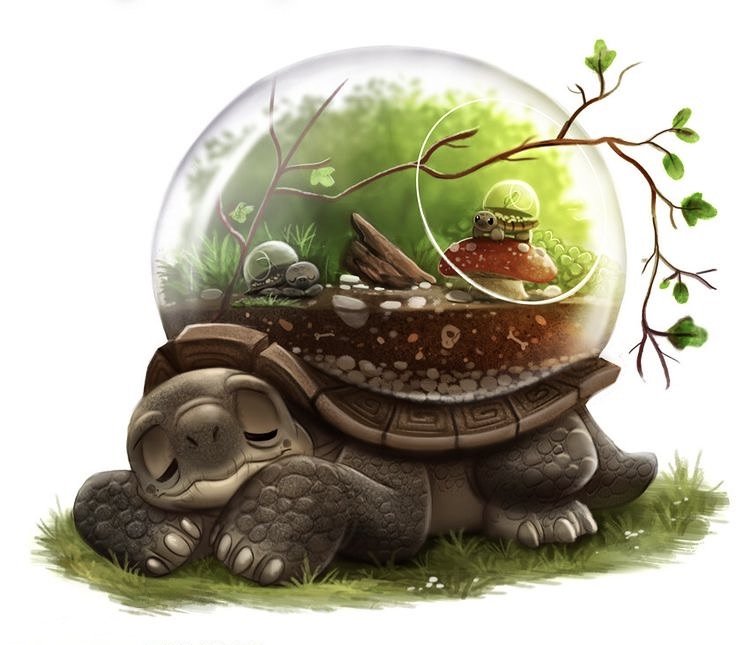 дом черепашки - сказки, черепахи - оригинал