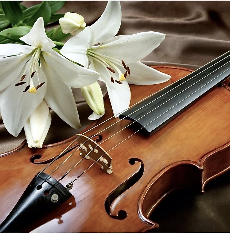 скрипка и лилии - натюрморт, цветы, скрипка - оригинал