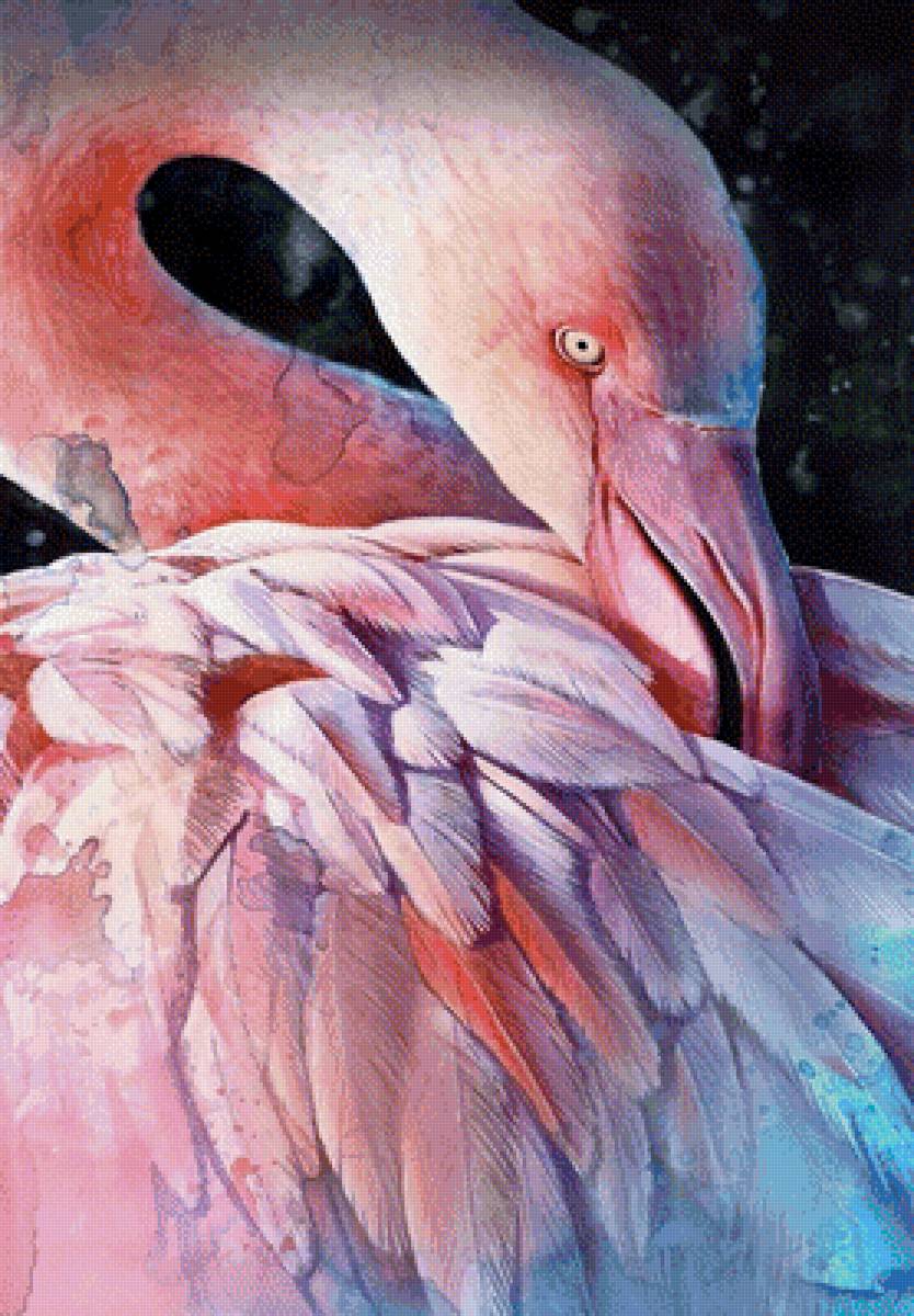 фламинго - птицы - предпросмотр