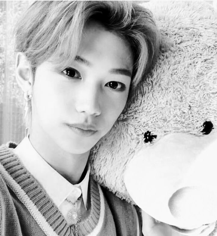 Felix, stray kids, - felix, stray kids - оригинал