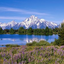 Схема вышивки «природа Нидерланды»