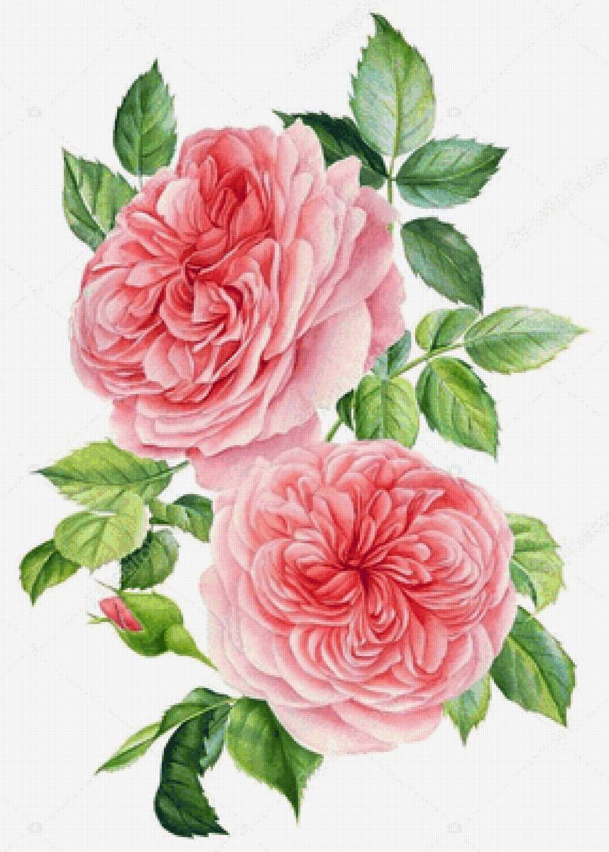 №2529150 - предпросмотр