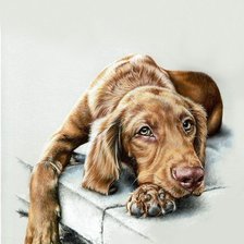 Схема вышивки «№2529155»