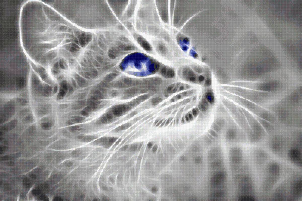 Кот - монохром, голубые глаза, кот - предпросмотр