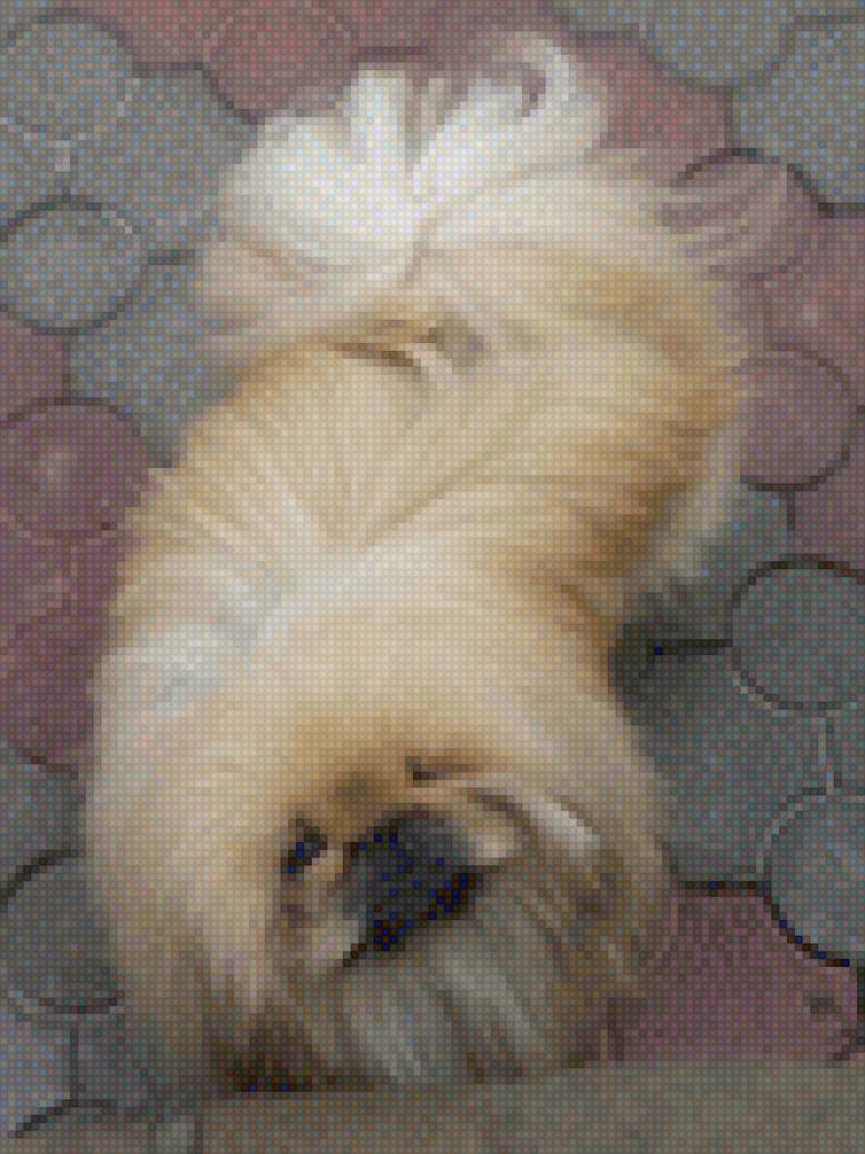 Пекинесс3 - пекинесс - предпросмотр