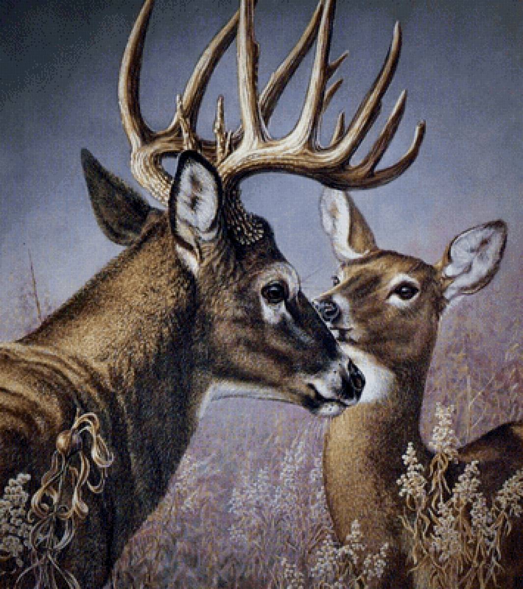 жизнь продолжается - природа, животные, олени - предпросмотр