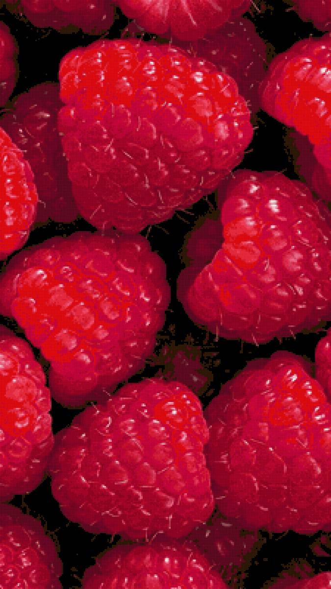 Малина - малина - предпросмотр