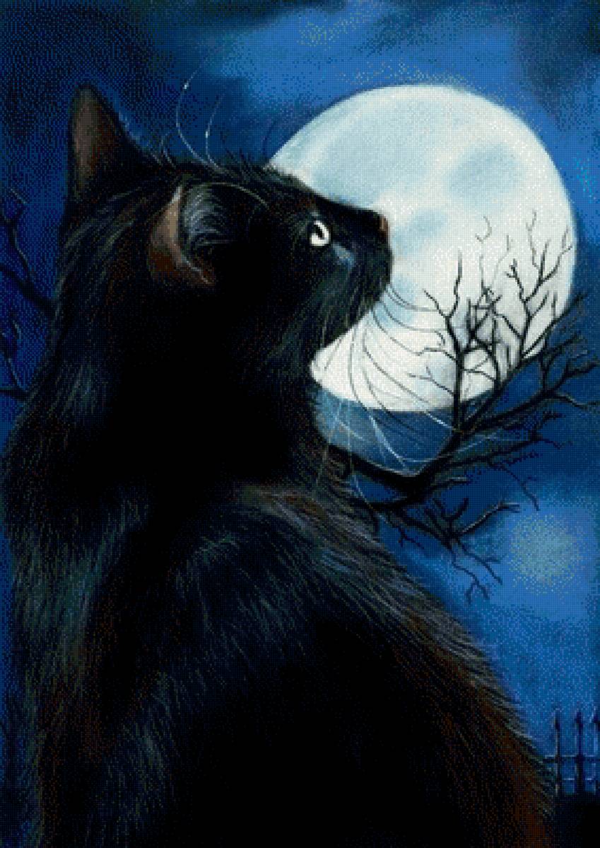 Сказочный черный кот. Чёрный кот. Черный Кок. Черные коты. Черная кошка живопись.