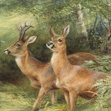 Схема вышивки «№2529945»