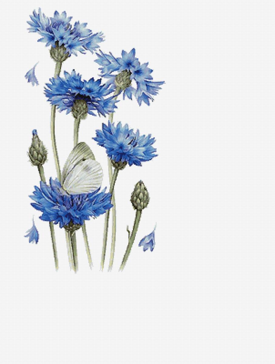 №2530071 - предпросмотр