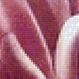 Предпросмотр схемы вышивки «Хризантемы» (№2530131)