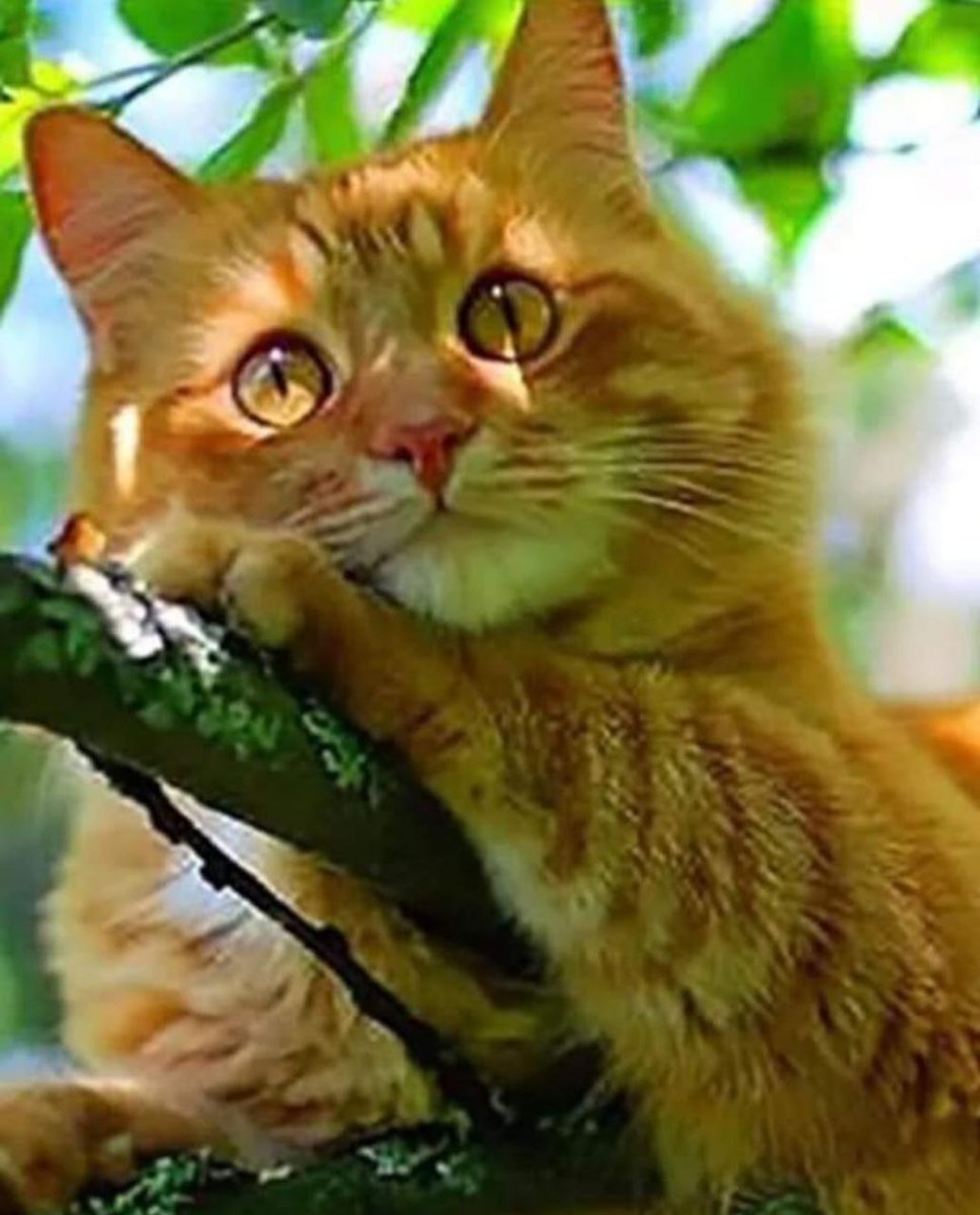 №2530287 - оригинал