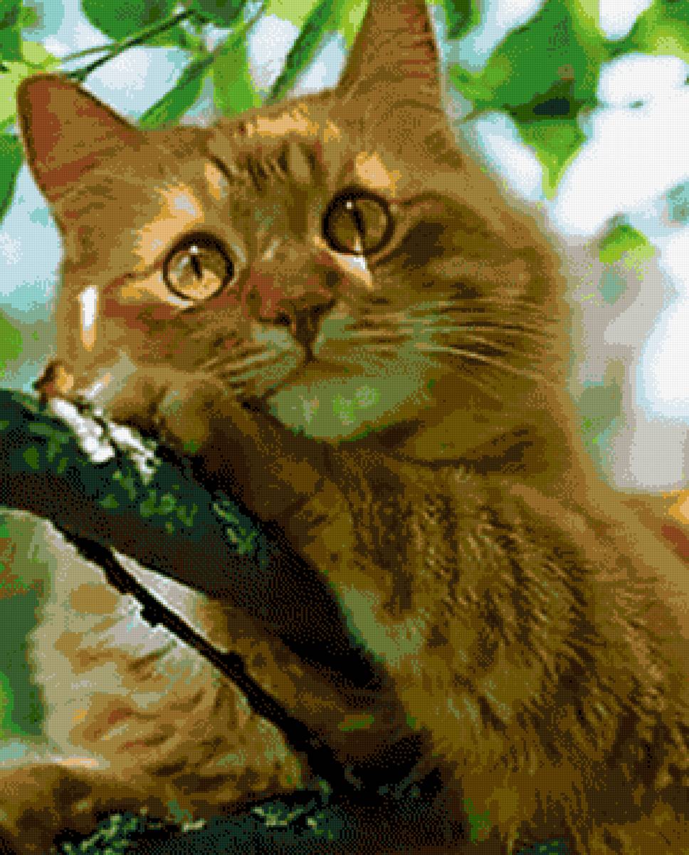 №2530287 - предпросмотр