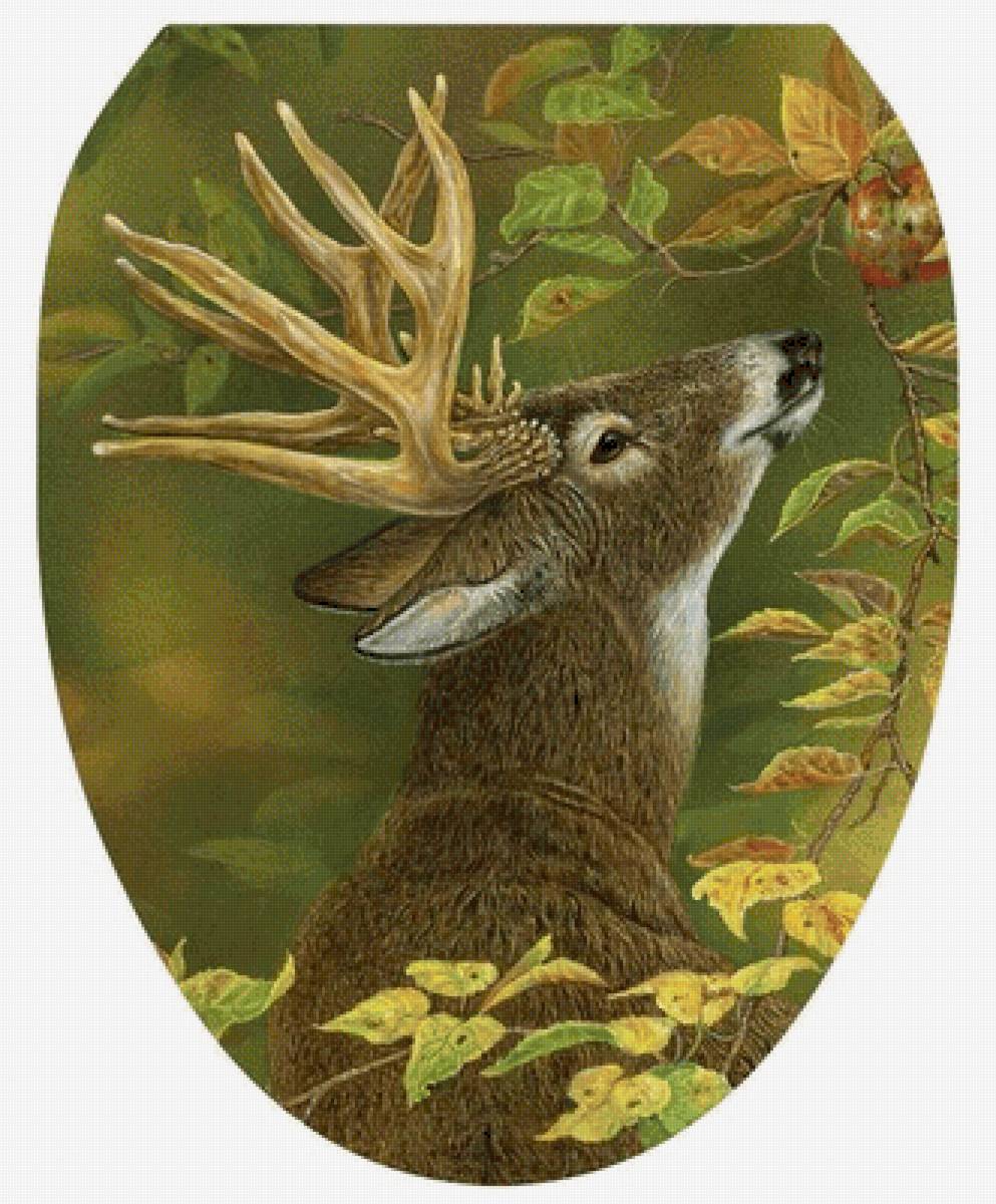 №2530506 - предпросмотр